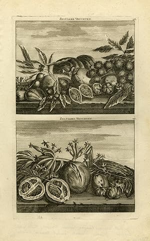 Antique Print-Depiction of Asian fruit-pisang-grapefruit-coconut-De Bruyn-1711