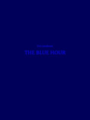 Bild des Verkufers fr Uri Gershuni - the Blue Hour zum Verkauf von moluna