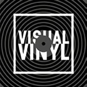 Seller image for Visual Vinyl for sale by moluna