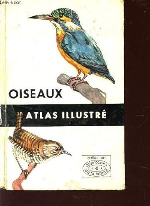 Seller image for OISEAUX - ATLAS ILLUSTRE. for sale by Ammareal