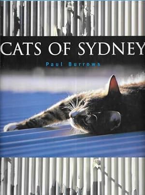 Cats of Sydney