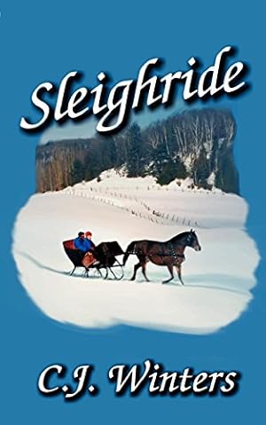 Bild des Verkufers fr Sleighride zum Verkauf von WeBuyBooks