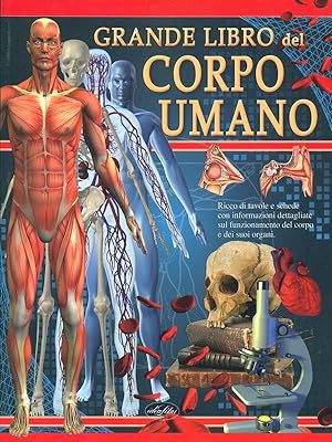 Immagine del venditore per Grande libro del corpo umano venduto da Librodifaccia