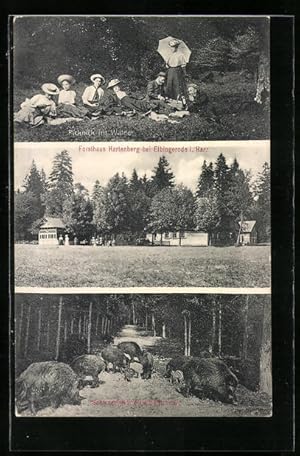 Bild des Verkufers fr Ansichtskarte Elbingerode i. Harz, Forsthaus Hartenberg, Picknick im Walde, Schwarzwild bei der Ftterung zum Verkauf von Bartko-Reher