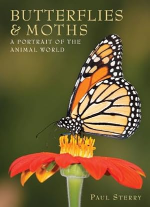 Image du vendeur pour Butterflies & Moths (A Portrait of the Animal World) mis en vente par WeBuyBooks