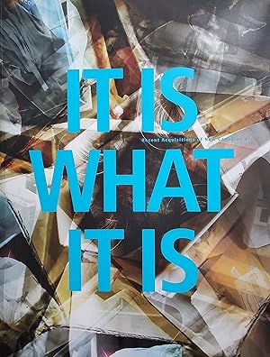 It Is What It Is: Recent Acquisitions of New Canadian Art