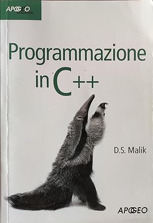 Programmazione in C++