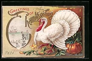 Bild des Verkufers fr Prge-Ansichtskarte Truthahn zu Thanksgiving, Krbis zum Verkauf von Bartko-Reher