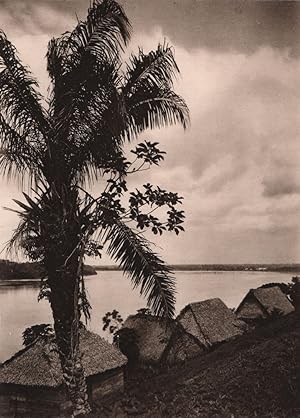Riberalta on the River Beni, the former rubber capital of tropical Bolivia. There was a time, not...