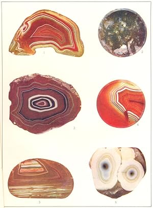 Agates; 1,4,5. Carnelian Agate or Sard Agate; 3. Onyx Agate; 6. Bull's eye Agate; 2. Moss Agate