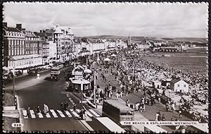 Weymouth Esplanade Buses Vintage Postcard
