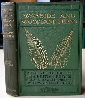 Wayside and Woodland Ferns - a pocket guide to the british ferns, horsetails and club-mosses