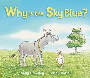 Seller image for Why Is The Sky Blue ? for sale by WeBuyBooks