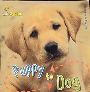 Bild des Verkufers fr Puppy to Dog zum Verkauf von WeBuyBooks