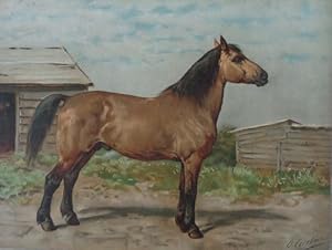 Seller image for DE CANADEESCHE PAARD (Kanadisches Pferd) - Chromolithographie aus der Mappe PAARDENRASSEN, herausgegeben von Schillemans & van Belkum in Zuitphen nach einem Gemlde von Otto Eerelman. Tafel No. 35. Krftiger Karton in guter Erhaltung. um 1900. Minimale Schabspuren an den Rndern. Hier im Groformat (59,5 x 44,5 cm). for sale by Antiquariat Ursula Hartmann