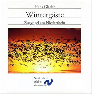 Bild des Verkufers fr Wintergste : Zugvgel am Niederrhein / Hans Glader zum Verkauf von Antiquariat Buchhandel Daniel Viertel
