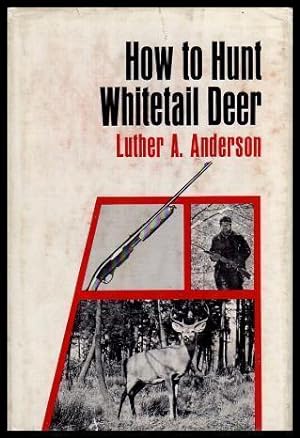HOW TO HUNT WHITETAIL DEER