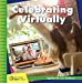 Seller image for Celebrating Virtually (21st Century Junior Library: Together We Can: Pandemic) [No Binding ] for sale by booksXpress