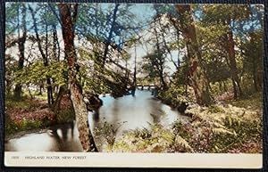 New Forest Highland Water Vintage Postcard