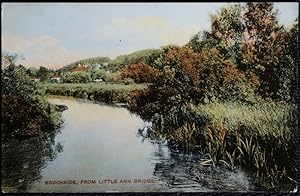 Brookside Little Ann Bridge Locally Published Postcard