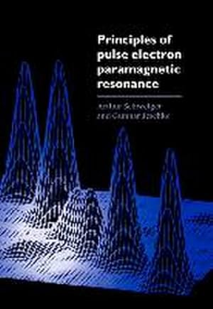 Immagine del venditore per Principles of Pulse Electron Paramagnetic Resonance Spectros venduto da AHA-BUCH GmbH