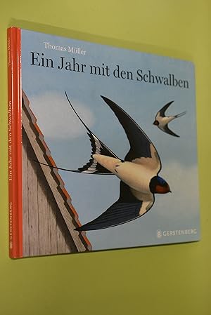 Ein Jahr mit den Schwalben.