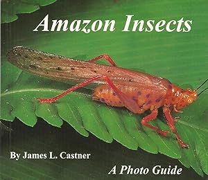 Bild des Verkufers fr Amazon Insects: A Photo Guide zum Verkauf von Antiquariat Buchhandel Daniel Viertel