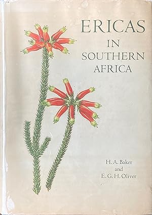 Ericas in southern Africa