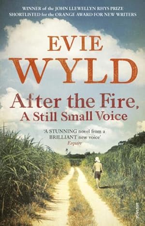 Image du vendeur pour After the Fire, A Still Small Voice mis en vente par Smartbuy