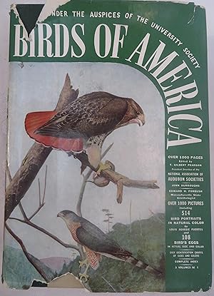 Imagen del vendedor de Birds of America a la venta por Book Catch & Release