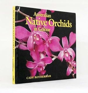 Australian Native Orchids in Colour