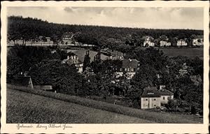 Bild des Verkufers fr Ansichtskarte / Postkarte Gelenau im Erzgebirge, Knig Albert-Heim zum Verkauf von akpool GmbH