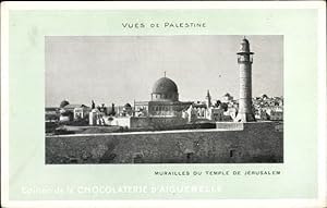 Ansichtskarte / Postkarte Jerusalem Israel, Vues du Palestine, Murailles du Temple