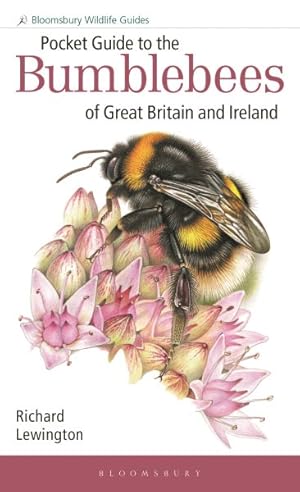 Immagine del venditore per Guide to the Bumblebees of Great Britain and Ireland venduto da GreatBookPrices