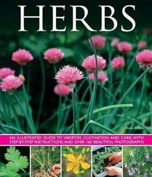 Immagine del venditore per Herbs : An Illustrated Guide to Varieties, Cultivation and Care, with Step-by-step Instructions and Over 160 Beautiful Photographs venduto da Smartbuy