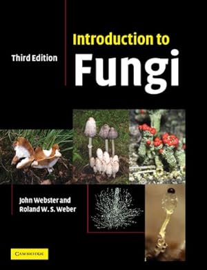 Imagen del vendedor de Introduction to Fungi by Webster, John, Weber, Roland [Paperback ] a la venta por booksXpress