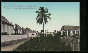 Postcard Cartagena, A Street in Manga