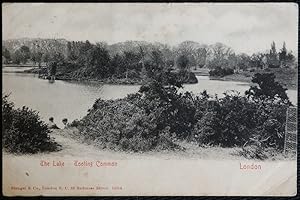 Tooting Common Lake Vintage 1904 Postcard