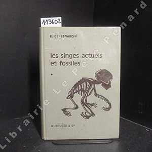 Seller image for Les singes actuels et fossiles. lments de primatologie. for sale by Librairie-Bouquinerie Le Pre Pnard