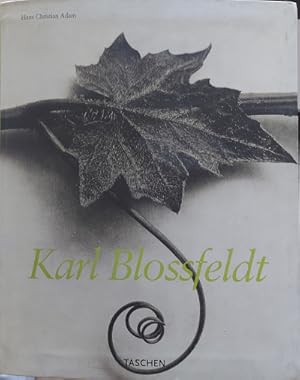 Bild des Verkufers fr Karl Blossfeldt: 1865-1932 zum Verkauf von Librera Reencuentro