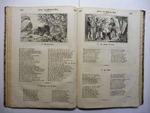 Bild des Verkufers fr FABELN und Mhrchen (Mrchen) Buch mit vielen Abbildungen nach Zeichnungen von J.P. LYSER *. zum Verkauf von Antiquariat am Ungererbad-Wilfrid Robin