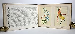 Wild Flowers of Canada, Published Exclusively with The Montreal Star, By Special Artists and Bota...