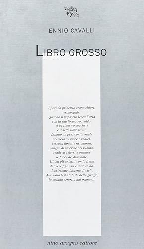 Libro grosso