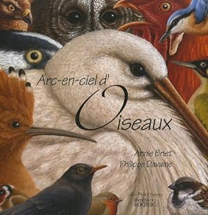 Imagen del vendedor de Arc-en-ciel d'oiseaux - Annie Briet a la venta por Book Hmisphres