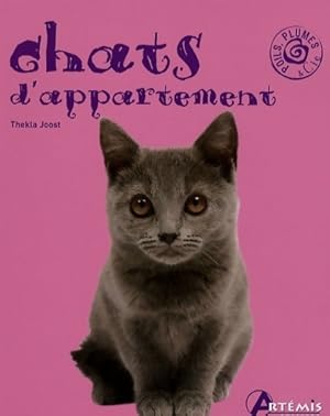 Chats d'appartement - Thekla Joost