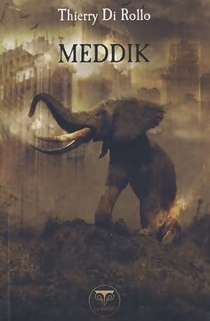 Image du vendeur pour Meddik - Thierry Di Rollo mis en vente par Book Hmisphres