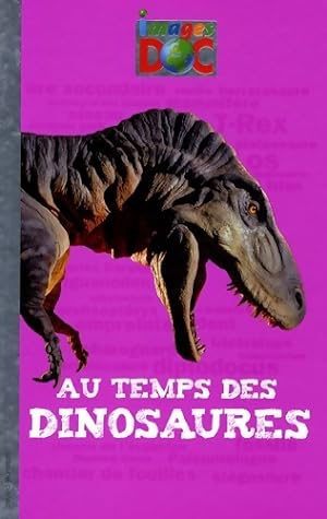 Bild des Verkufers fr Au temps des dinosaures - David Alazraki zum Verkauf von Book Hmisphres