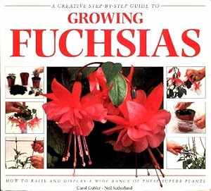 A Creative step by step guide to growing fuchsias - Unknown