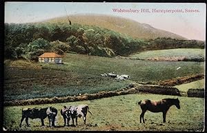 Hurstpierpoint Wolstonbury 1906 Postcard