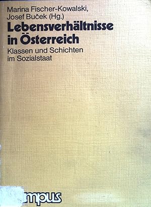 Immagine del venditore per Lebensverhltnisse in sterreich : Klassen und Schichten im Sozialstaat. venduto da books4less (Versandantiquariat Petra Gros GmbH & Co. KG)